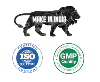 Best Customer Support